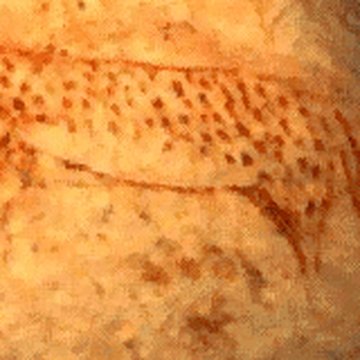 Grotte Chauvet à Vallon-Pont-dArc