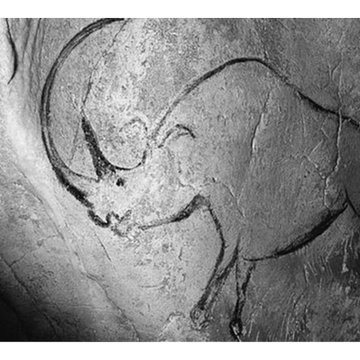 Grotte Chauvet à Vallon-Pont-dArc