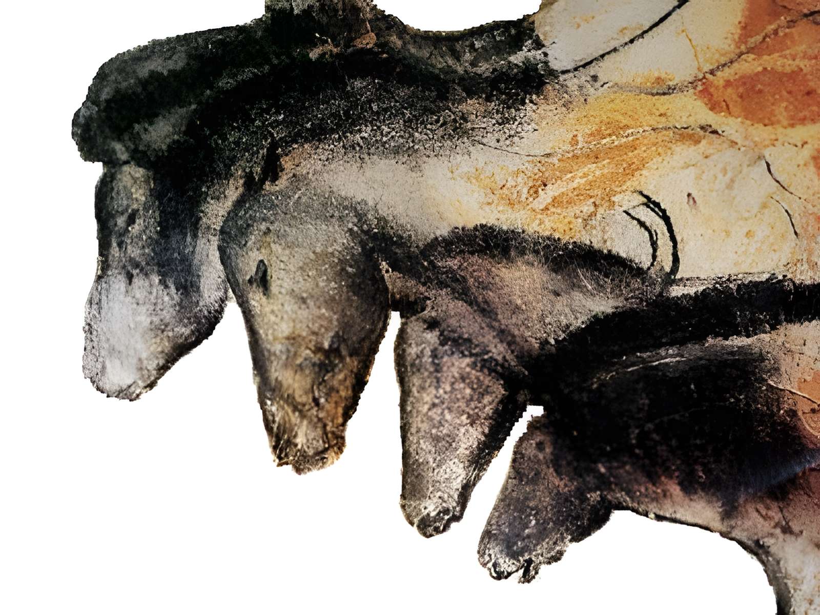 Grotte Chauvet à Vallon-Pont-d'Arc 