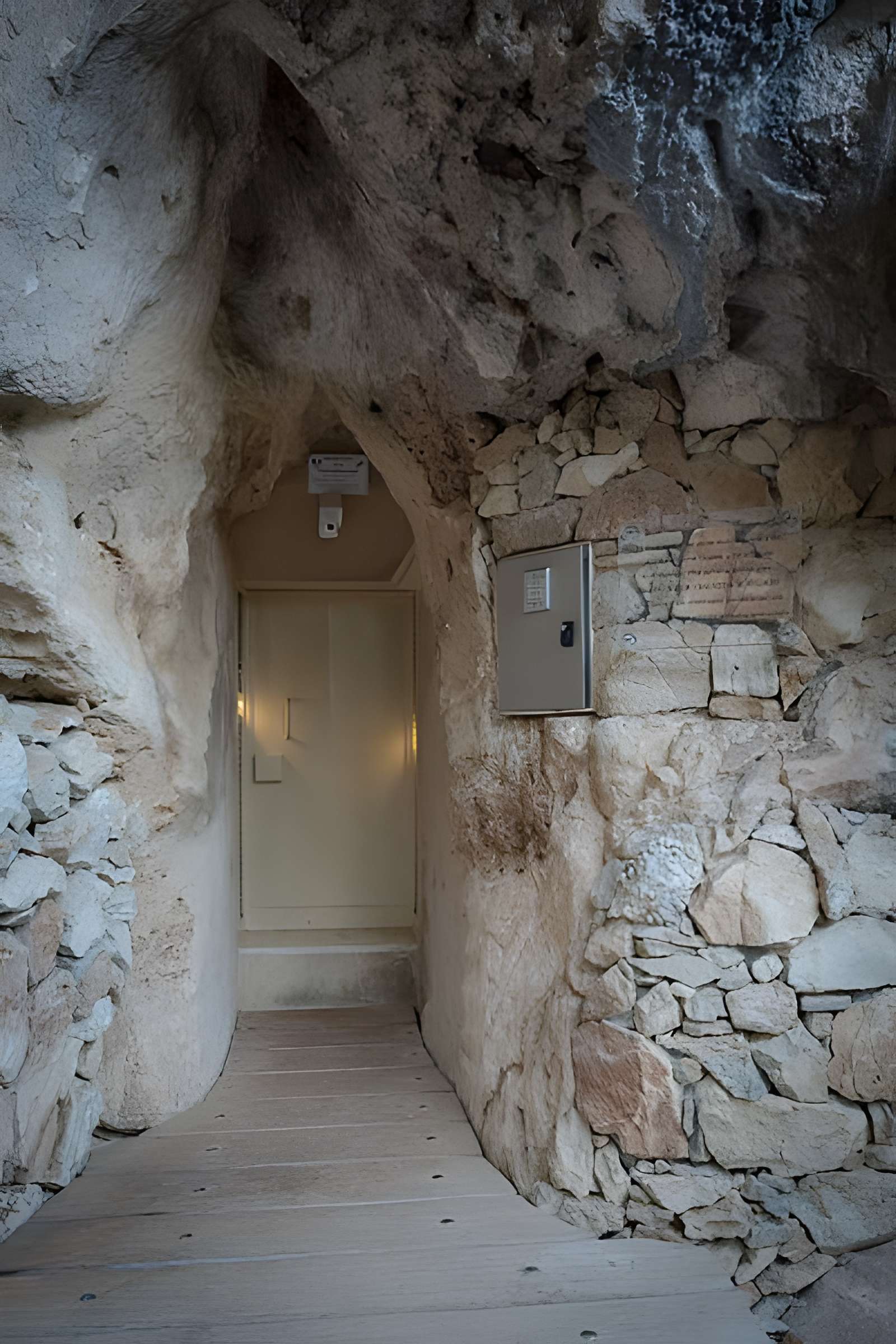 Grotte Chauvet à Vallon-Pont-d'Arc