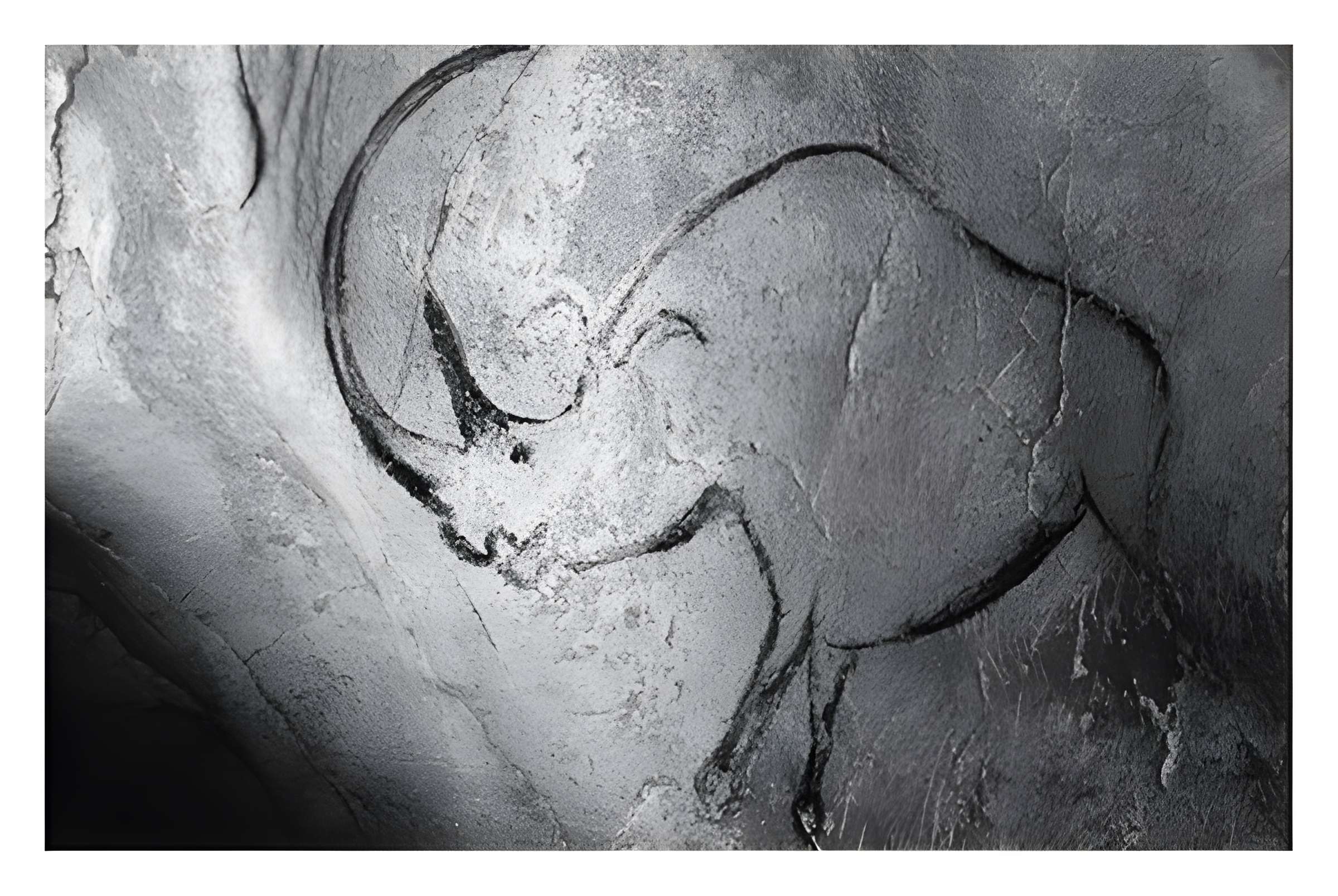 Grotte Chauvet à Vallon-Pont-d'Arc