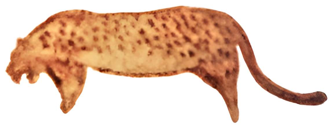 Grotte Chauvet à Vallon-Pont-d'Arc