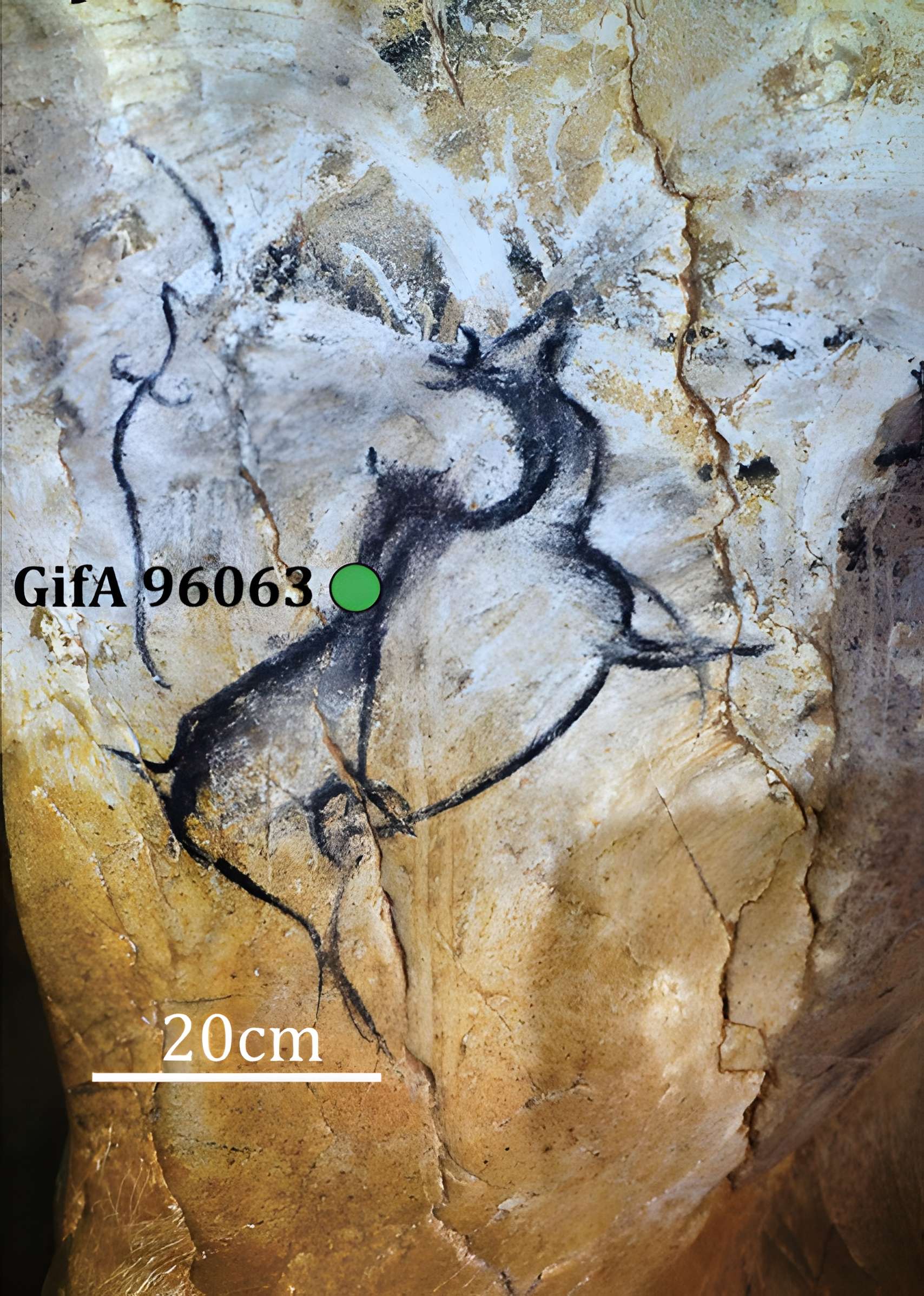 Grotte Chauvet à Vallon-Pont-d'Arc