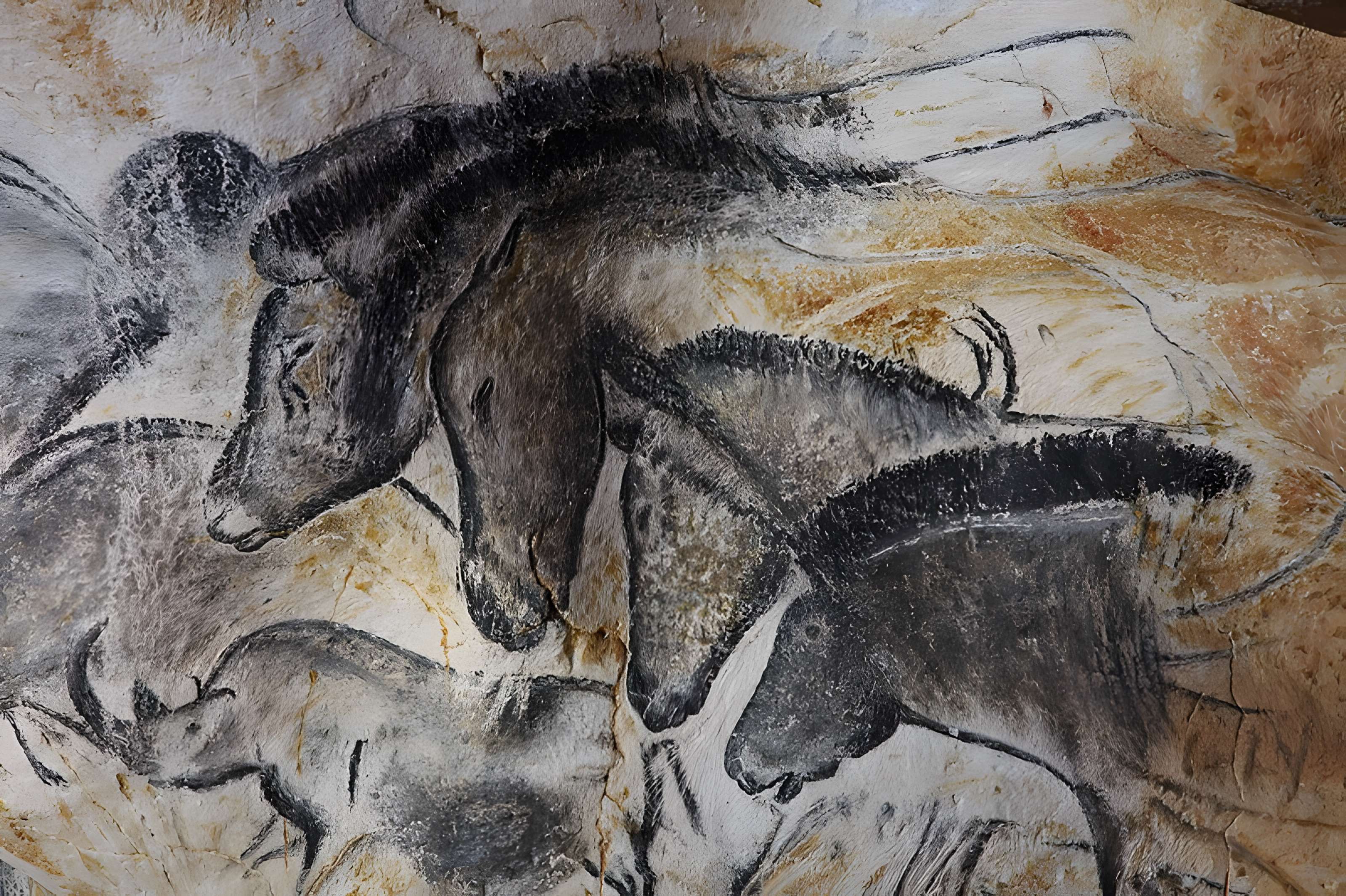 Grotte Chauvet à Vallon-Pont-d'Arc