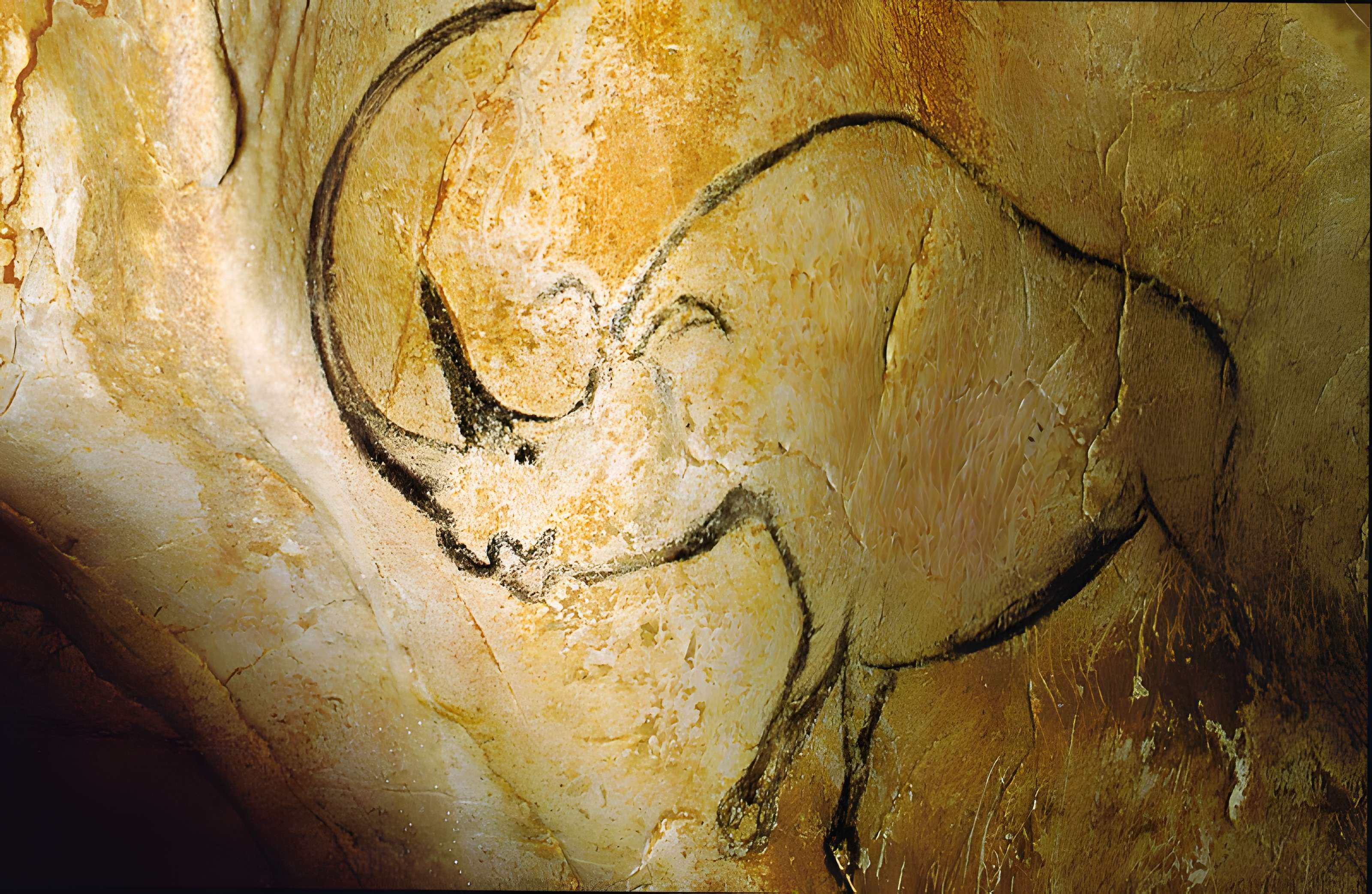 Grotte Chauvet à Vallon-Pont-d'Arc