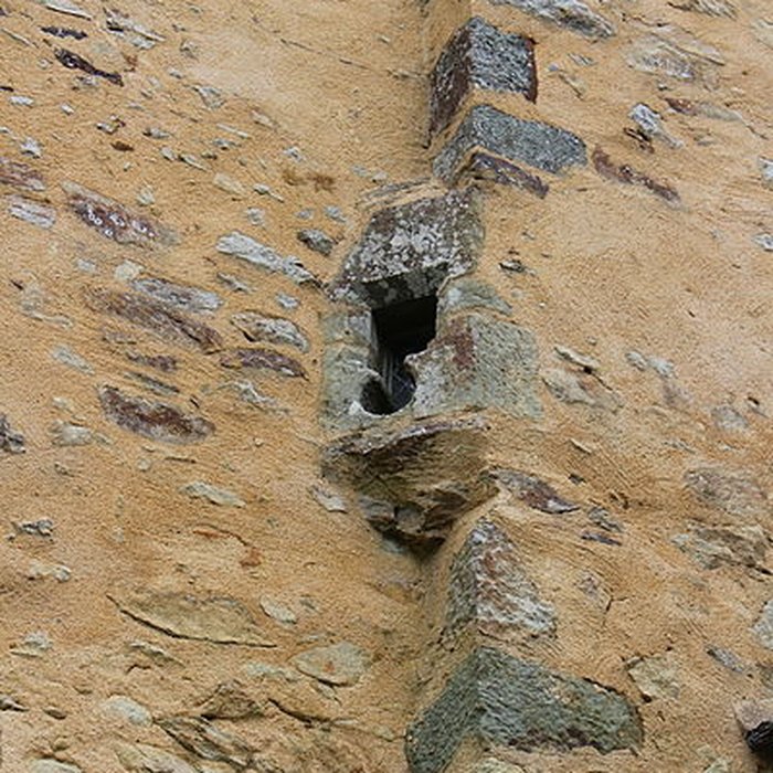 Photo de Maison forte de lÉpronnière à Livré-la-Touche