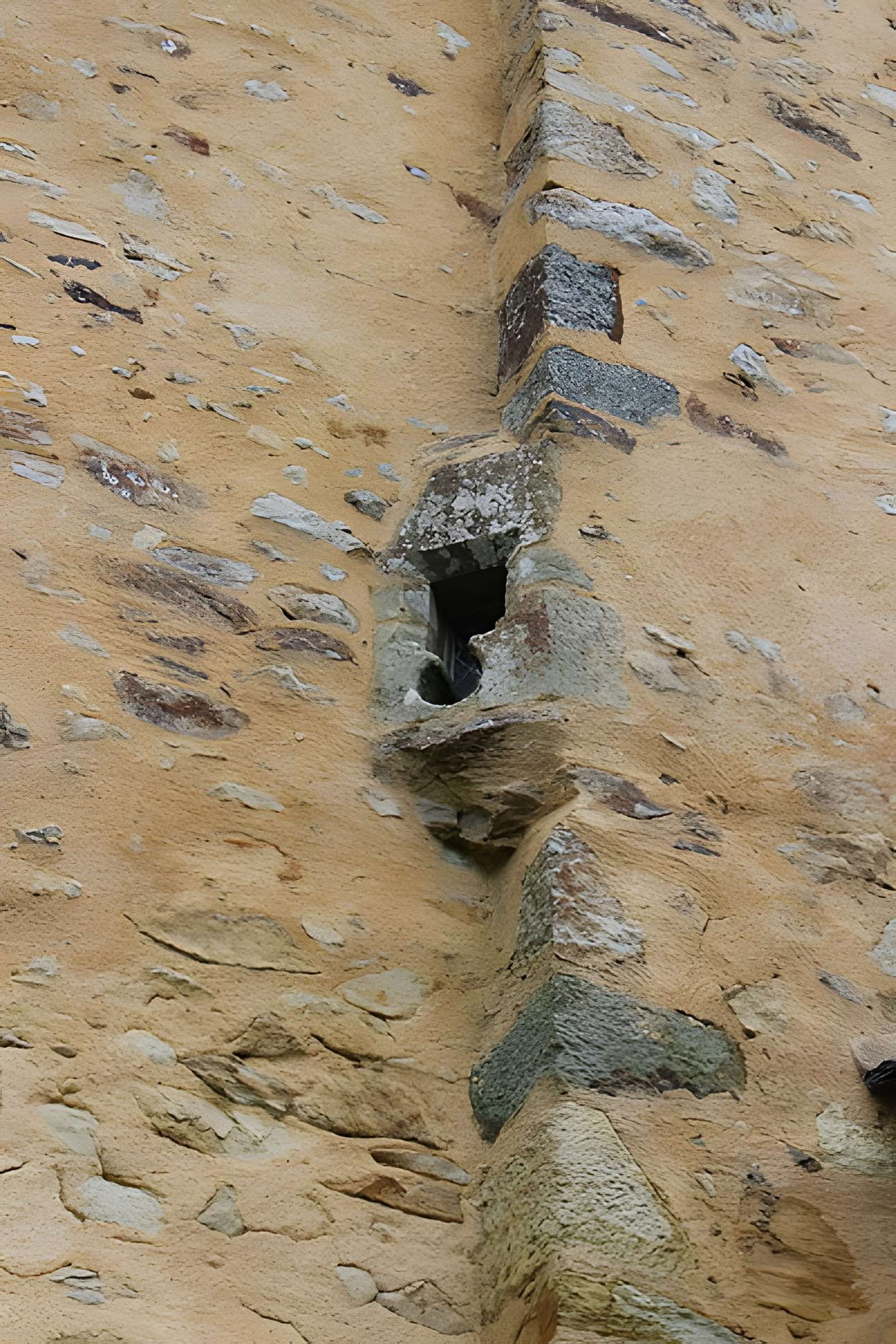 Maison forte de l'Épronnière à Livré-la-Touche