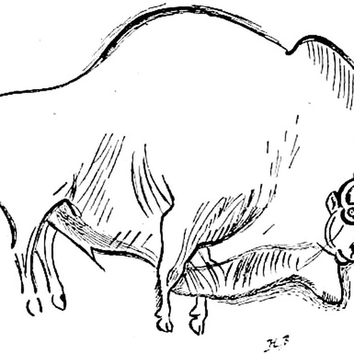 Photo de Grotte de Font-de-Gaume aux Eyzies-de-Tayac-Sireuil