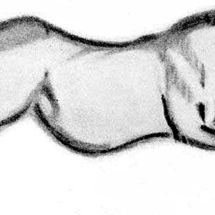 Photo de Grotte de Font-de-Gaume aux Eyzies-de-Tayac-Sireuil