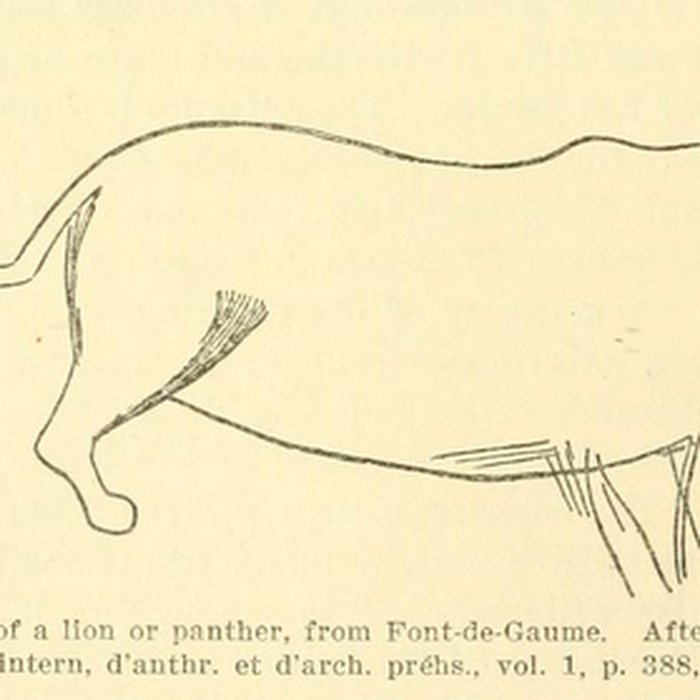Photo de Grotte de Font-de-Gaume aux Eyzies-de-Tayac-Sireuil