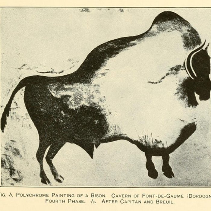 Photo de Grotte de Font-de-Gaume aux Eyzies-de-Tayac-Sireuil