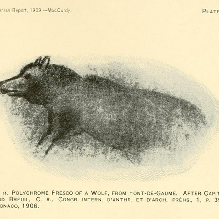 Photo de Grotte de Font-de-Gaume aux Eyzies-de-Tayac-Sireuil