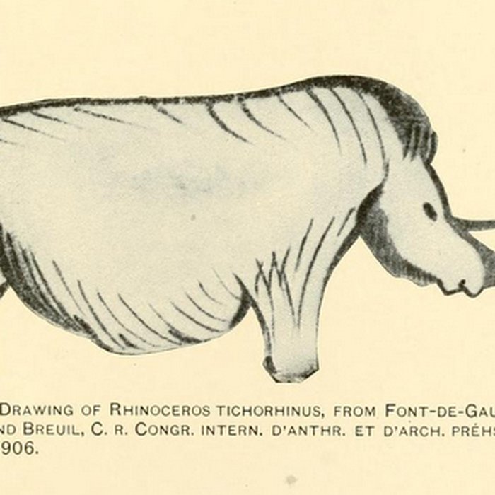 Photo de Grotte de Font-de-Gaume aux Eyzies-de-Tayac-Sireuil