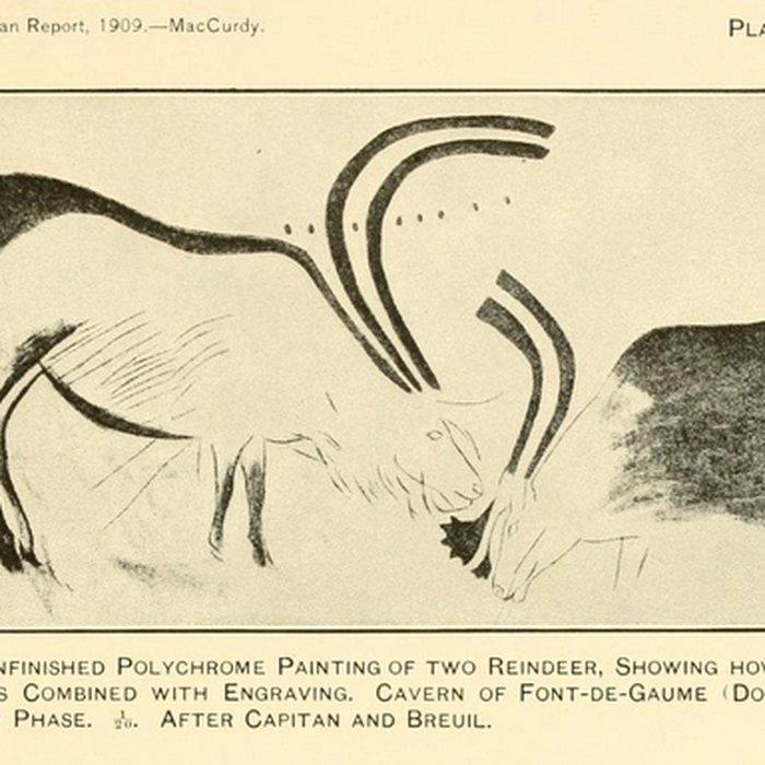 Photo de Grotte de Font-de-Gaume aux Eyzies-de-Tayac-Sireuil