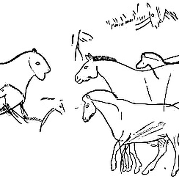 Photo de Grotte de Font-de-Gaume aux Eyzies-de-Tayac-Sireuil