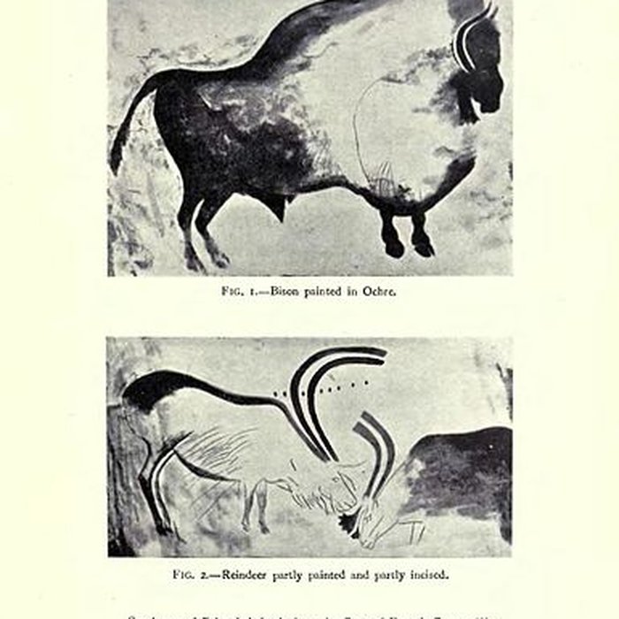 Photo de Grotte de Font-de-Gaume aux Eyzies-de-Tayac-Sireuil