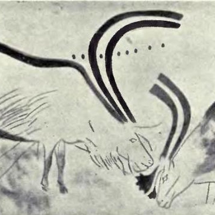 Photo de Grotte de Font-de-Gaume aux Eyzies-de-Tayac-Sireuil