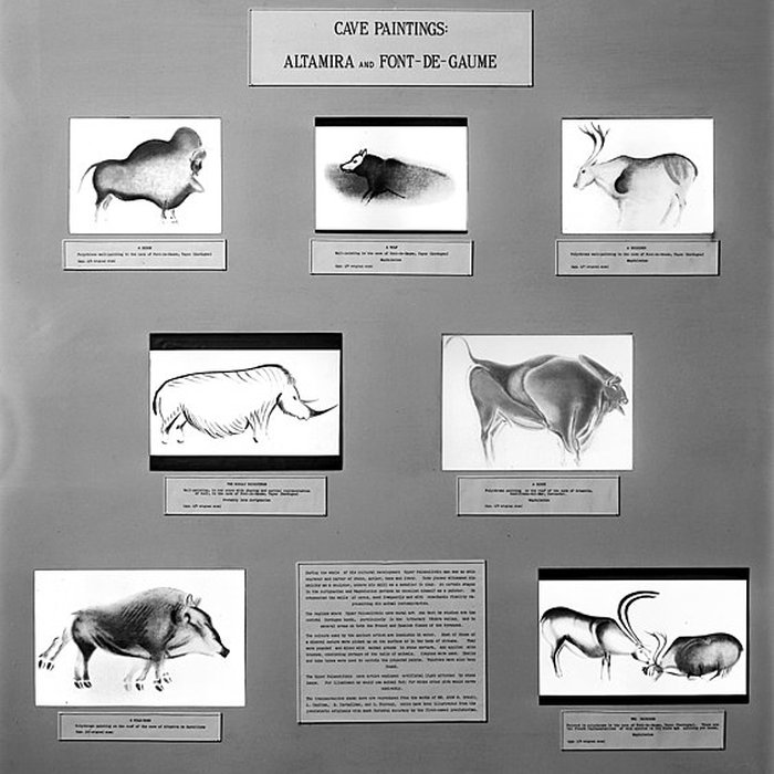 Photo de Grotte de Font-de-Gaume aux Eyzies-de-Tayac-Sireuil