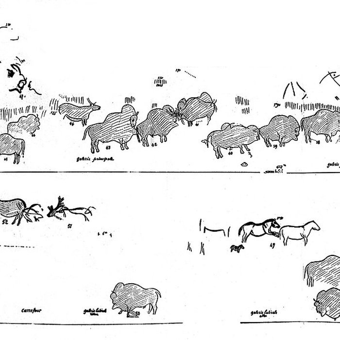 Photo de Grotte de Font-de-Gaume aux Eyzies-de-Tayac-Sireuil