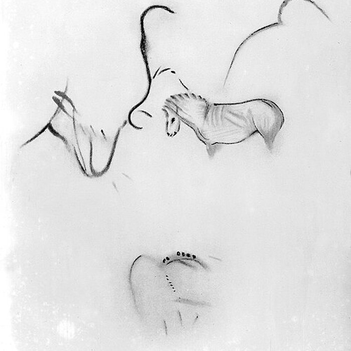 Photo de Grotte de Font-de-Gaume aux Eyzies-de-Tayac-Sireuil