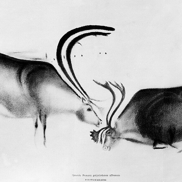 Photo de Grotte de Font-de-Gaume aux Eyzies-de-Tayac-Sireuil