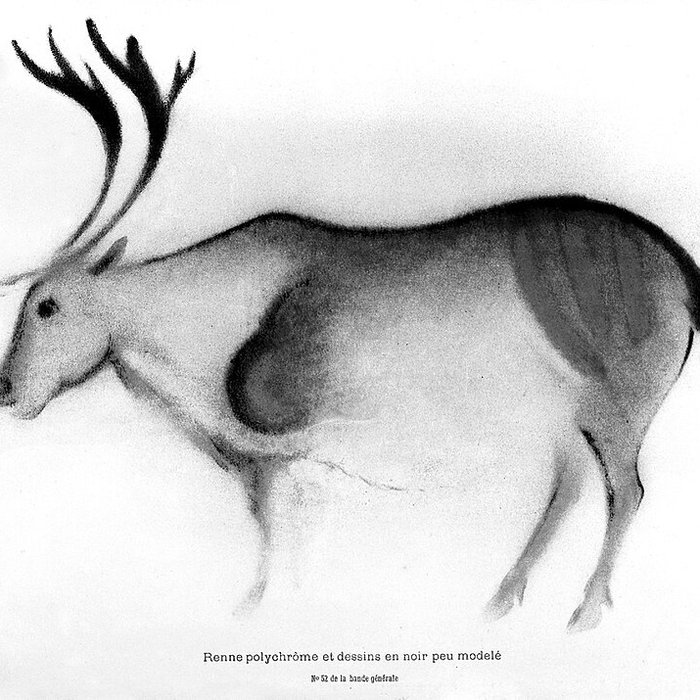 Photo de Grotte de Font-de-Gaume aux Eyzies-de-Tayac-Sireuil