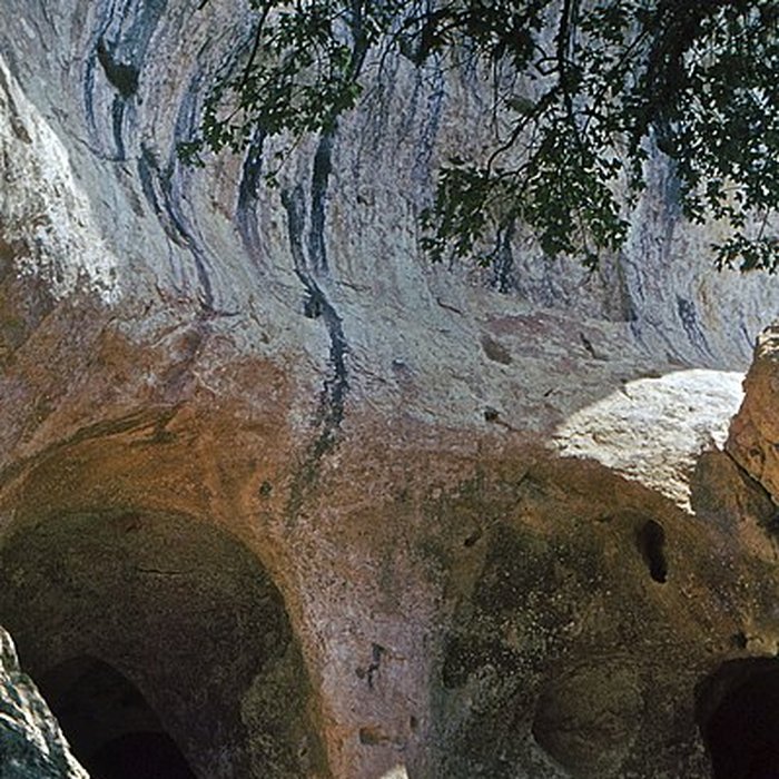 Photo de Grotte de Font-de-Gaume aux Eyzies-de-Tayac-Sireuil