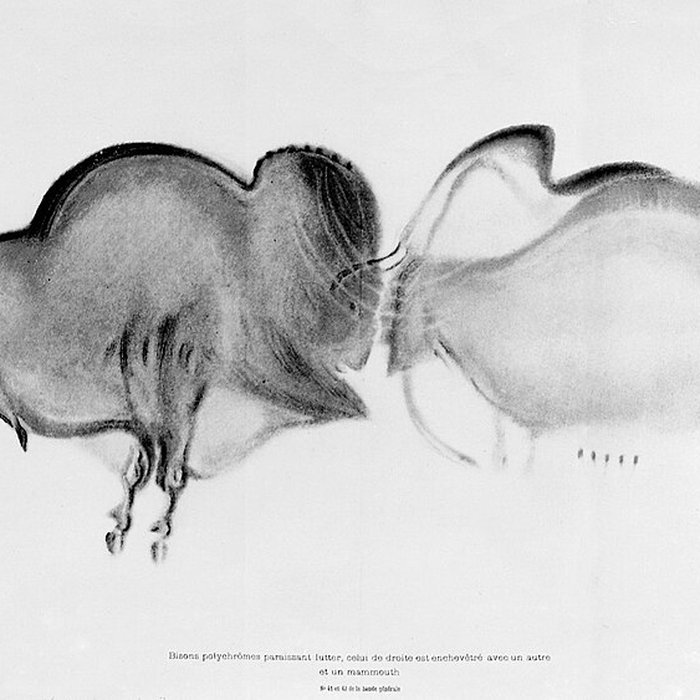Photo de Grotte de Font-de-Gaume aux Eyzies-de-Tayac-Sireuil