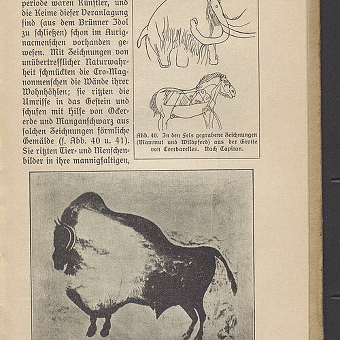 Photo de Grotte de Font-de-Gaume aux Eyzies-de-Tayac-Sireuil