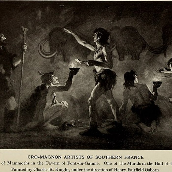 Photo de Grotte de Font-de-Gaume aux Eyzies-de-Tayac-Sireuil