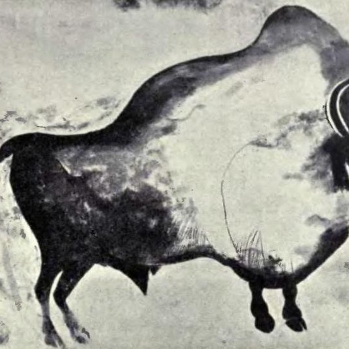 Photo de Grotte de Font-de-Gaume aux Eyzies-de-Tayac-Sireuil