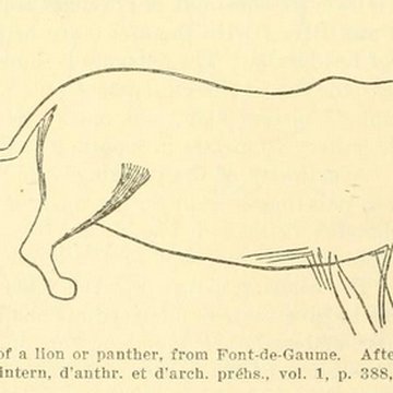 Grotte de Font-de-Gaume aux Eyzies-de-Tayac-Sireuil