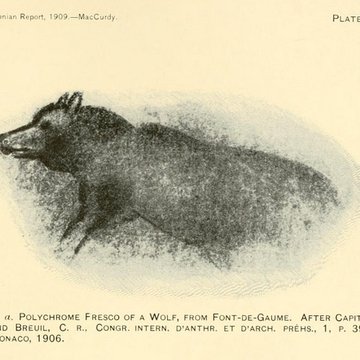 Grotte de Font-de-Gaume aux Eyzies-de-Tayac-Sireuil