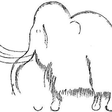 Grotte de Font-de-Gaume aux Eyzies-de-Tayac-Sireuil