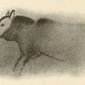 Grotte de Font-de-Gaume aux Eyzies-de-Tayac-Sireuil