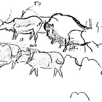 Grotte de Font-de-Gaume aux Eyzies-de-Tayac-Sireuil