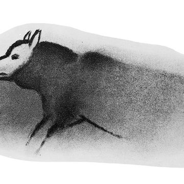 Grotte de Font-de-Gaume aux Eyzies-de-Tayac-Sireuil