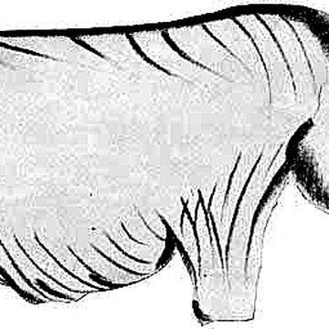 Grotte de Font-de-Gaume aux Eyzies-de-Tayac-Sireuil