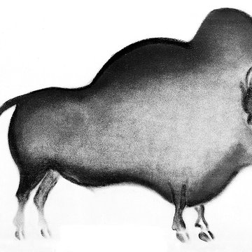 Grotte de Font-de-Gaume aux Eyzies-de-Tayac-Sireuil