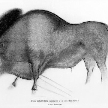 Grotte de Font-de-Gaume aux Eyzies-de-Tayac-Sireuil