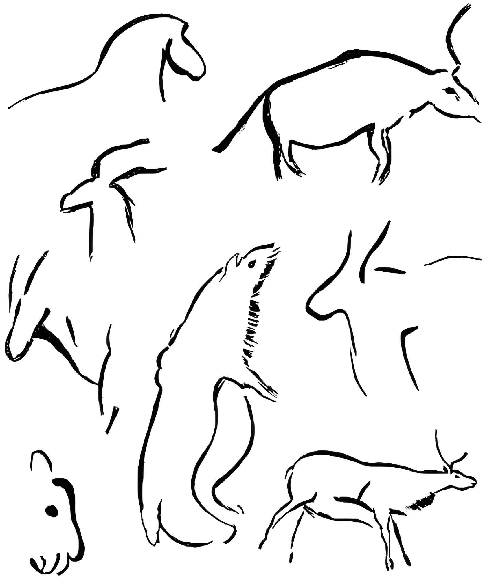 Grotte de Font-de-Gaume aux Eyzies-de-Tayac-Sireuil