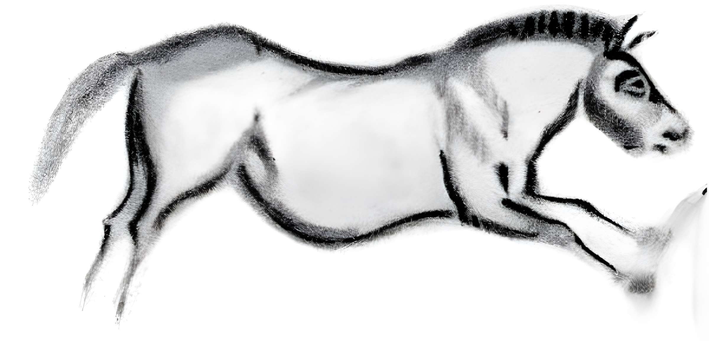 Grotte de Font-de-Gaume aux Eyzies-de-Tayac-Sireuil