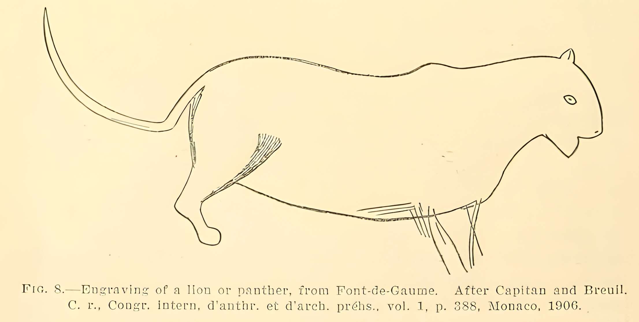 Grotte de Font-de-Gaume aux Eyzies-de-Tayac-Sireuil