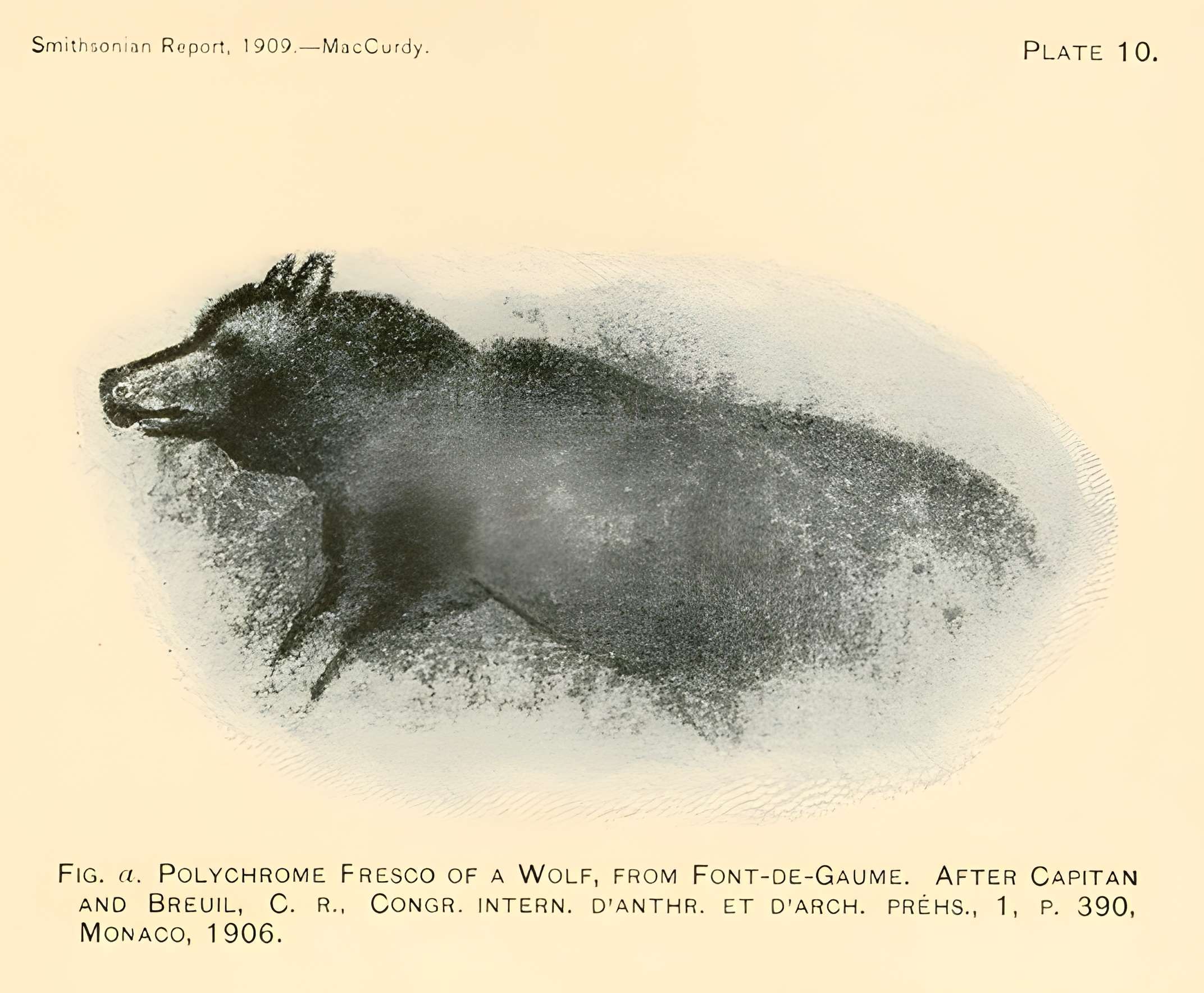 Grotte de Font-de-Gaume aux Eyzies-de-Tayac-Sireuil