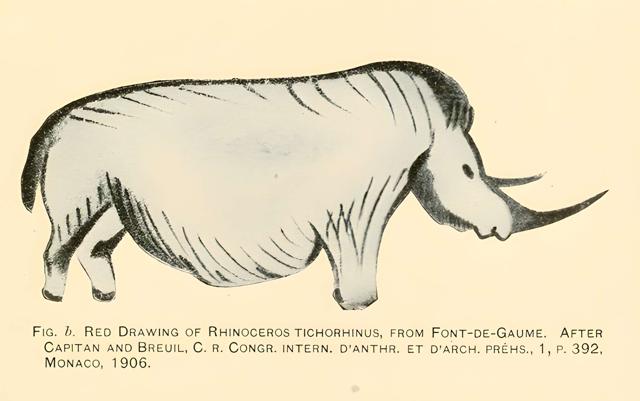 Grotte de Font-de-Gaume aux Eyzies-de-Tayac-Sireuil