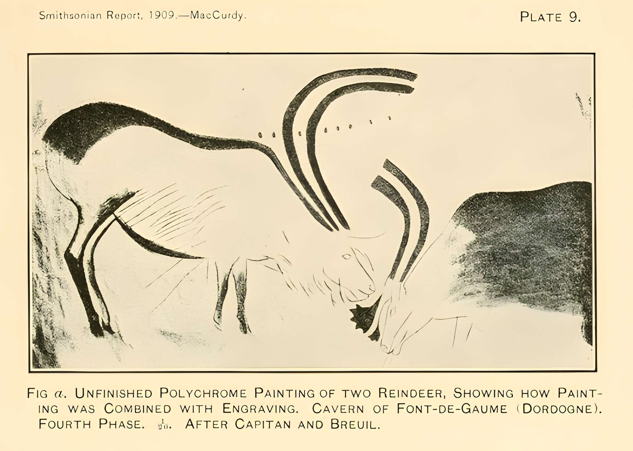 Grotte de Font-de-Gaume aux Eyzies-de-Tayac-Sireuil