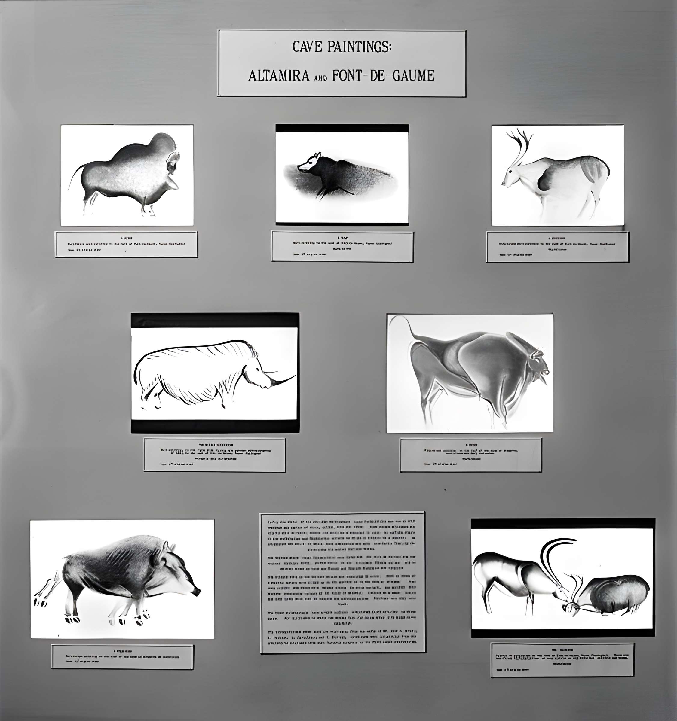 Grotte de Font-de-Gaume aux Eyzies-de-Tayac-Sireuil