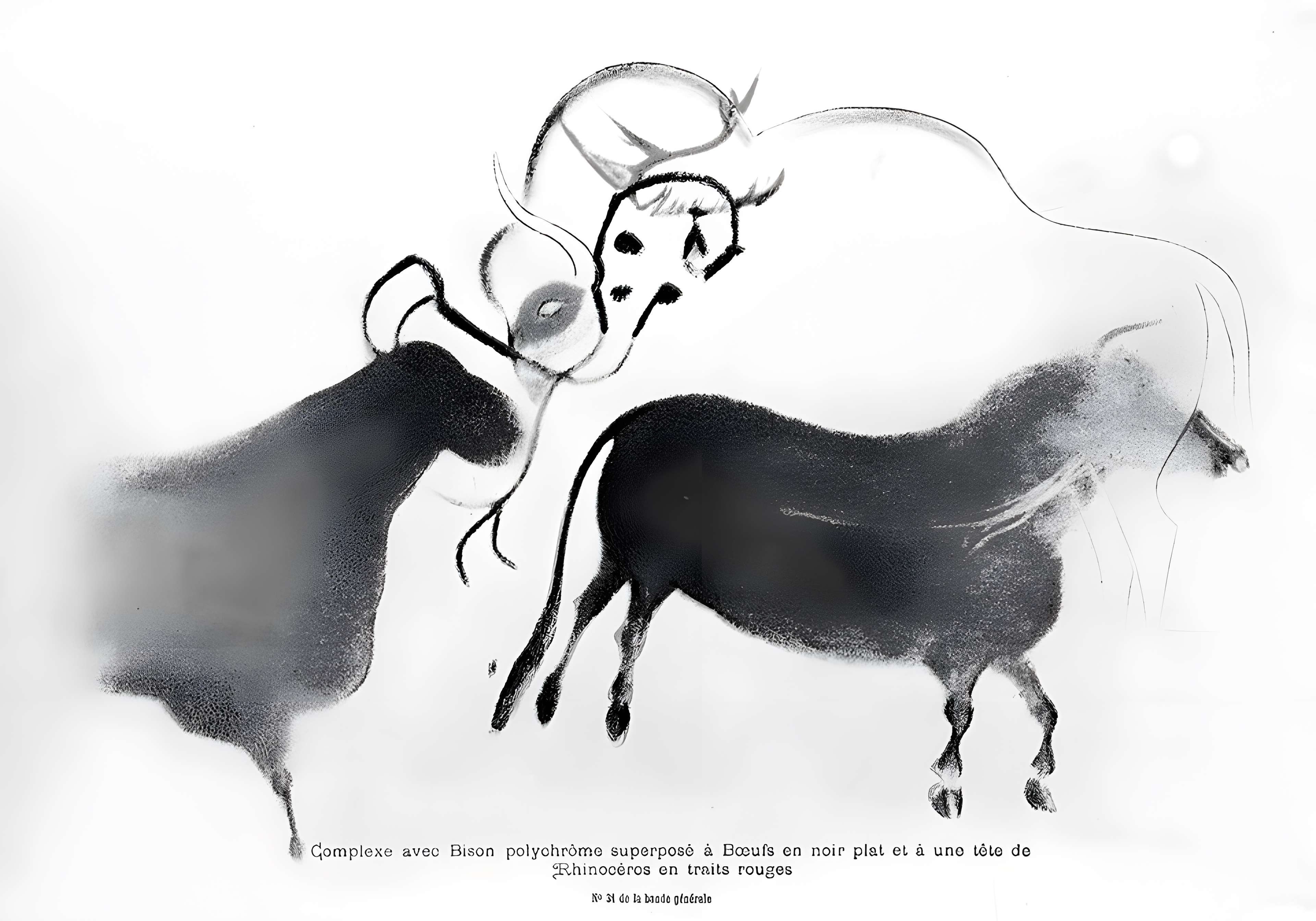 Grotte de Font-de-Gaume aux Eyzies-de-Tayac-Sireuil