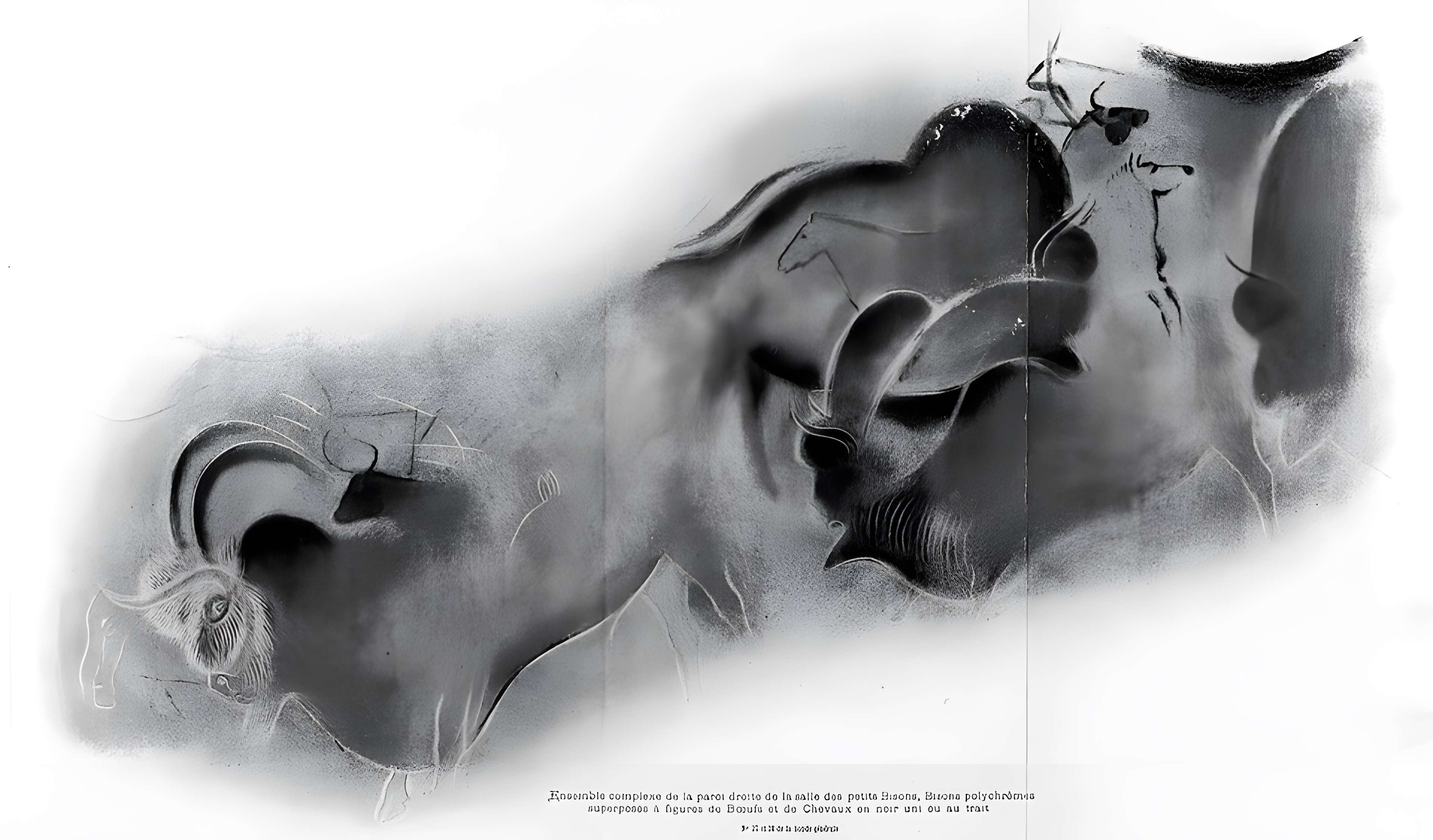 Grotte de Font-de-Gaume aux Eyzies-de-Tayac-Sireuil