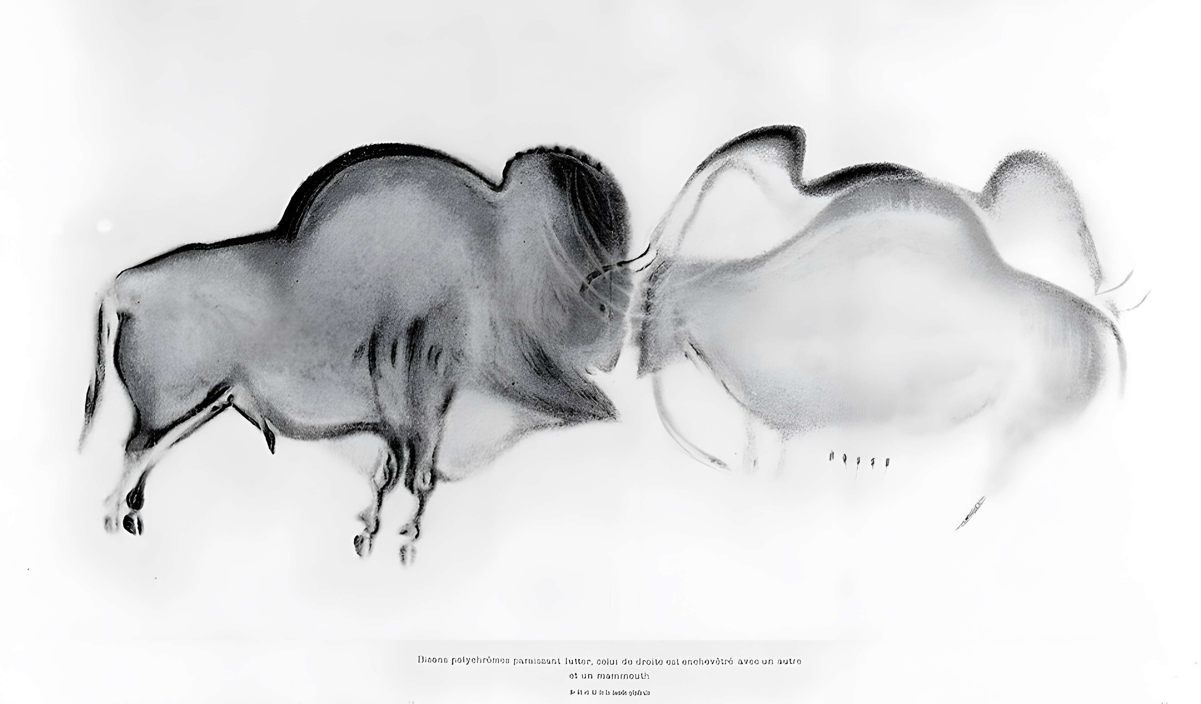 Grotte de Font-de-Gaume aux Eyzies-de-Tayac-Sireuil